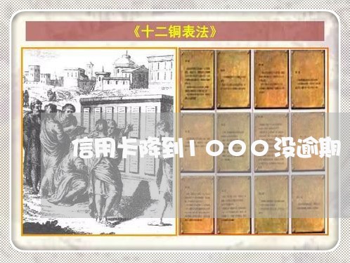 信用卡降到1000没逾期/2023112736148