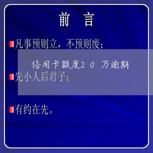 信用卡额度20万逾期/2023112627138