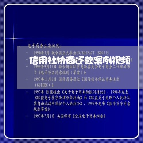 信用社协商还款案例视频/2023092427057