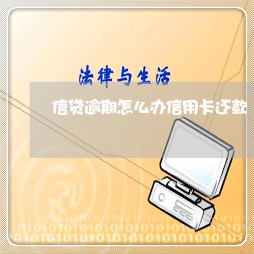 信贷逾期怎么办信用卡还款/2023121618150