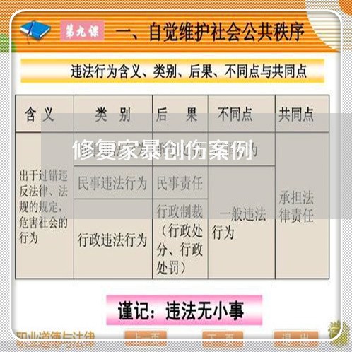 修复家暴创伤案例/2023101636351