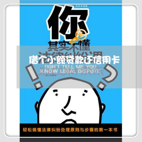 借个小额贷款还信用卡/2023090670795