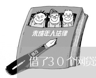 借了30个网贷没准备还/2023111442036