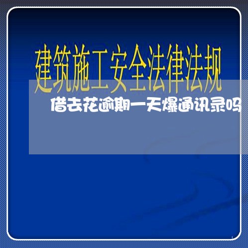 借去花逾期一天爆通讯录吗/2023080409491