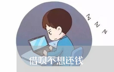 借呗不想还钱/2023100987169