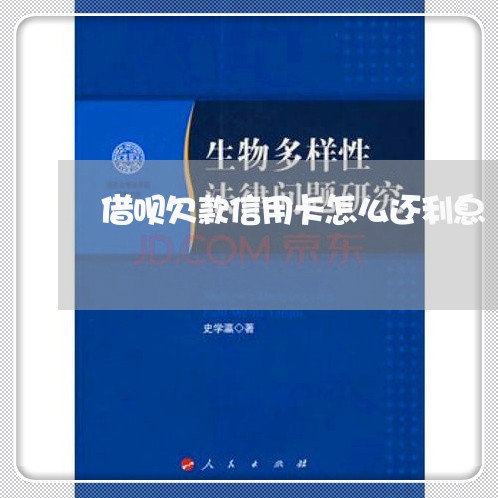 借呗欠款信用卡怎么还利息/2023080283615