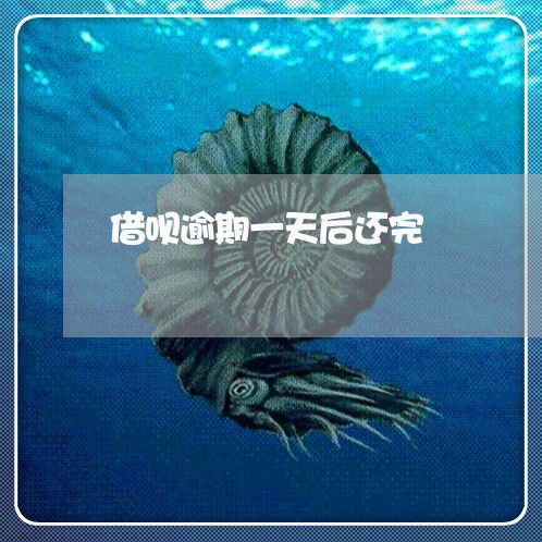 借呗逾期一天后还完/2023060852592