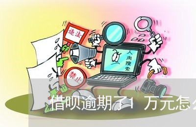 借呗逾期了1万元怎么还/2023080102605