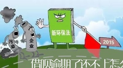 借呗逾期了还不上怎么还/2023062379694