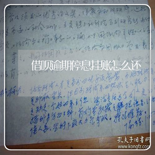 借呗逾期停息挂账怎么还/2023073098482