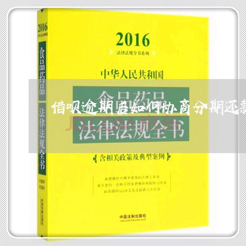 借呗逾期后如何协商分期还款方式/2023100707160