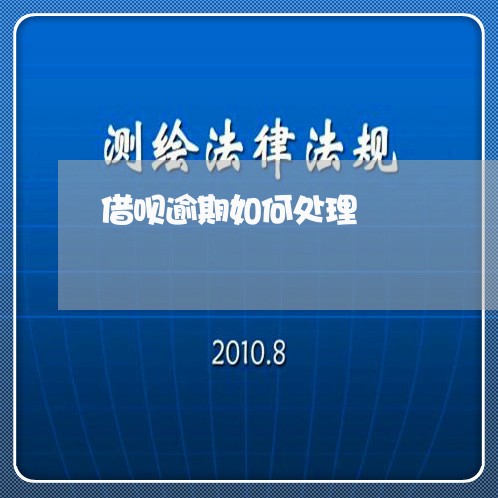 借呗逾期如何处理/2023031796268