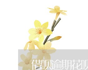 借呗逾期花呗怎么还/2023060861603