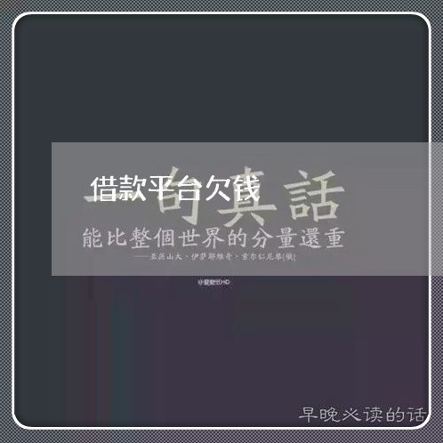 借款平台欠钱/2023100752593