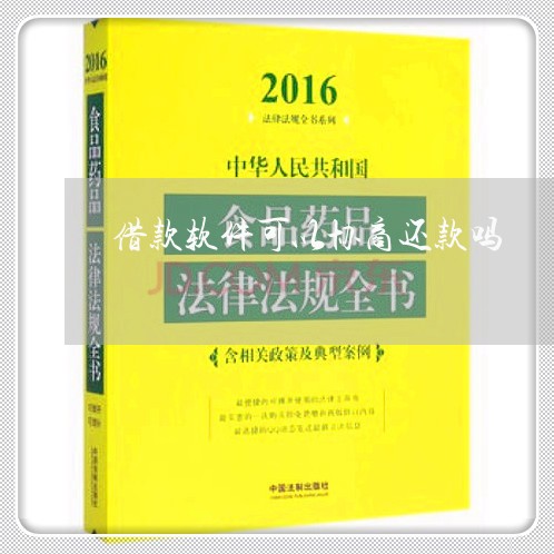 借款软件可以协商还款吗/2023101724938