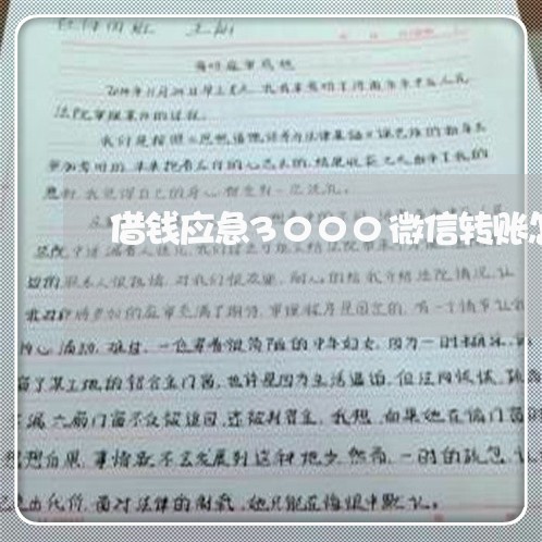 借钱应急3000微信转账怎么还/2023032527260