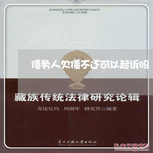 债务人欠债不还可以起诉吗/2023120863723