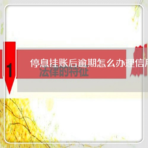 停息挂账后逾期怎么办理信用卡/2023091517048