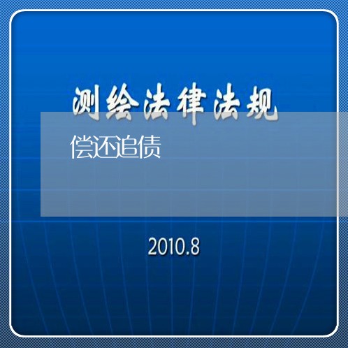 偿还追债/2023120670682