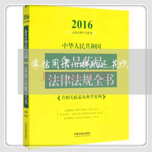 像信用卡一样代还花呗/2023072196481