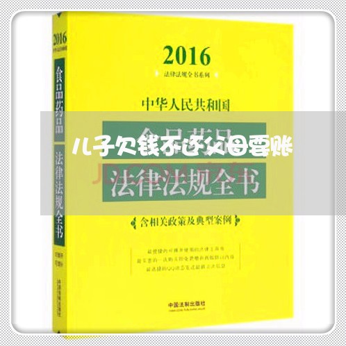 儿子欠钱不还父母要账/2023111505179