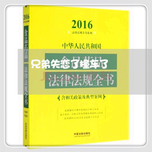 兄弟失恋了撞车了/2023110118240