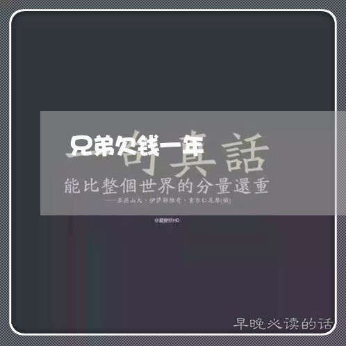 兄弟欠钱一年/2023121895171