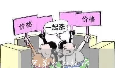 兄弟欠钱起诉/2023121996057