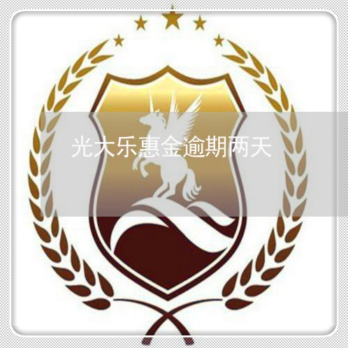 光大乐惠金逾期两天/2023060906047