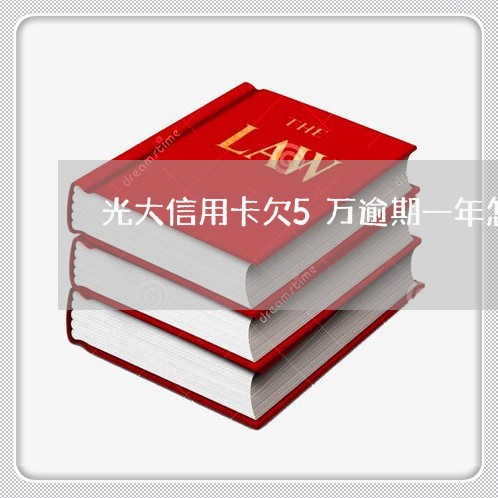 光大信用卡欠5万逾期一年怎么办/2023072389626