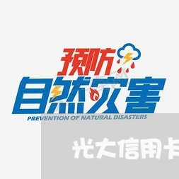 光大信用卡没钱还/2023072330261