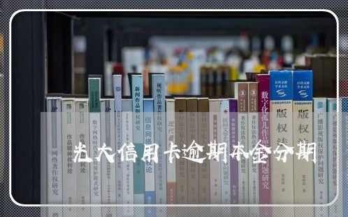 光大信用卡逾期本金分期/2023051117148