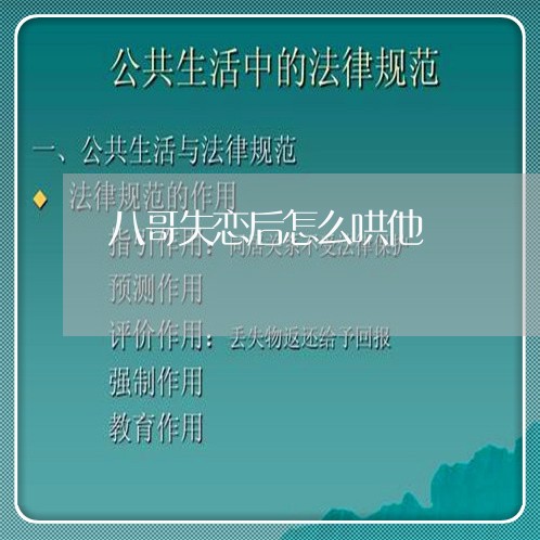 八哥失恋后怎么哄他/2023110921514