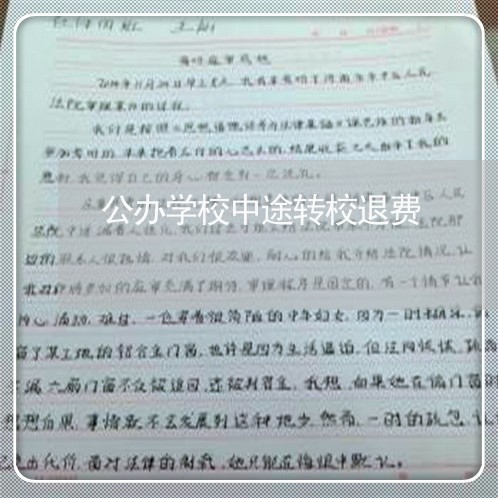 公办学校中途转校退费/2023041449362