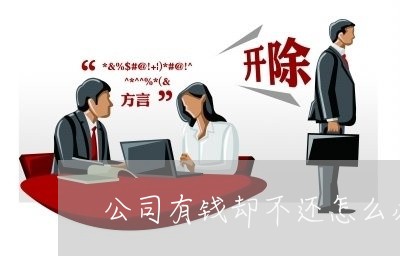 公司有钱却不还怎么办法/2023120858181