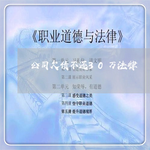 公司欠债不还30万法律/2023102505470