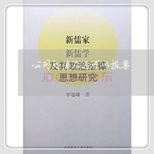 公司欠债不还可以报案/2023111728251