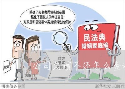 公司欠债不还怎么查询案件/2023111719823