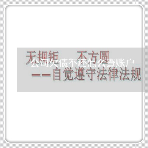 公司欠债不还怎么查账户/2023102530262