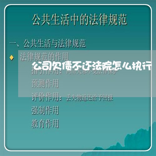 公司欠债不还法院怎么执行/2023102583936