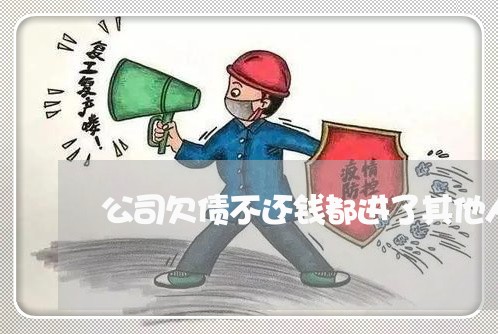 公司欠债不还钱都进了其他人账户/2023110828059