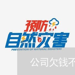 公司欠钱不还可以在法院起诉吗/2023110839461