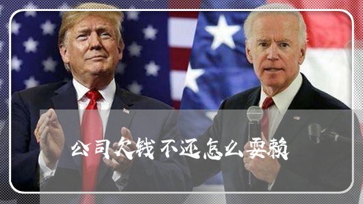 公司欠钱不还怎么耍赖/2023111563706