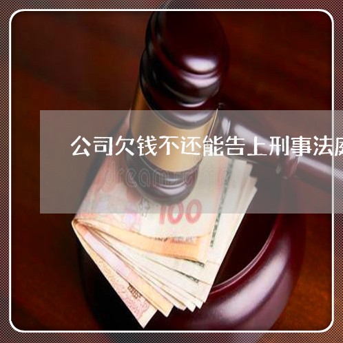 公司欠钱不还能告上刑事法庭/2023121015148