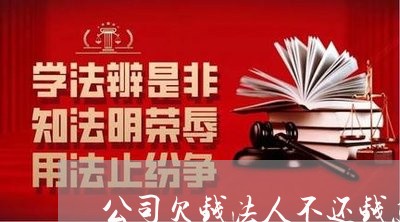 公司欠钱法人不还钱怎么办/2023120894128