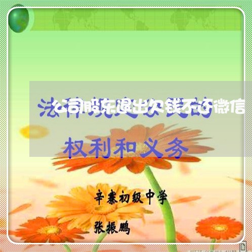 公司股东退出欠钱不还微信/2023092889361