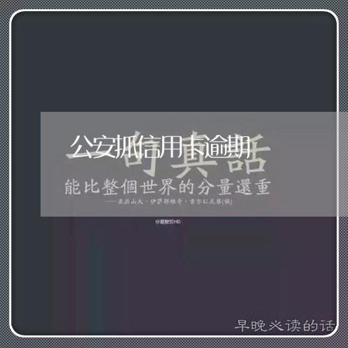 公安抓信用卡逾期/2023111943947