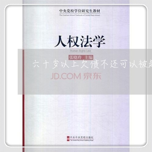 六十岁以上欠债不还可以被起诉吗/2023121004360