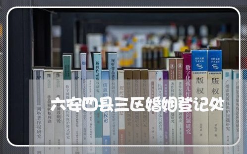 六安四县三区婚姻登记处/2023112743852