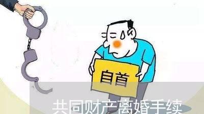 共同财产离婚手续/2023093026969